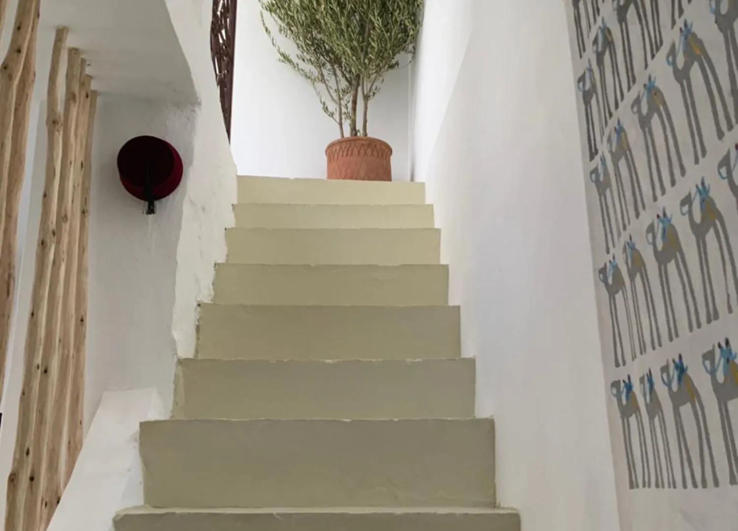 Affittacamere Riad 24 Marrakesh Marocco